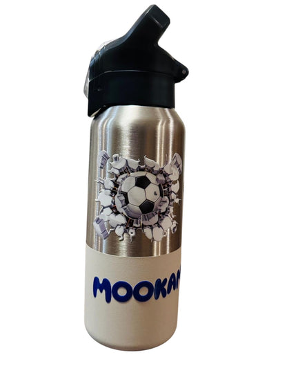 500ml Stainless Steel Insulated Bottle